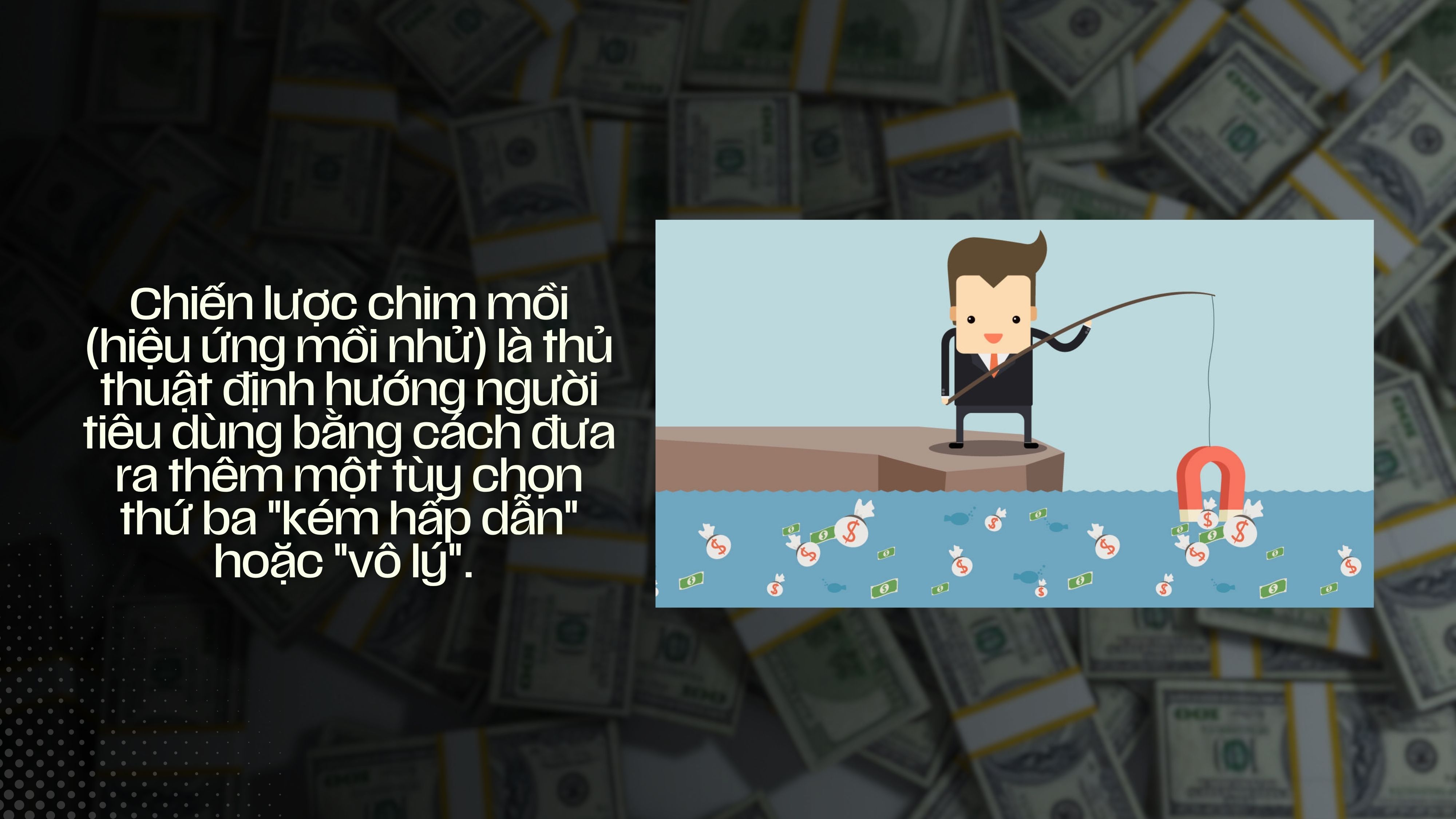 mô hình giá rẻ