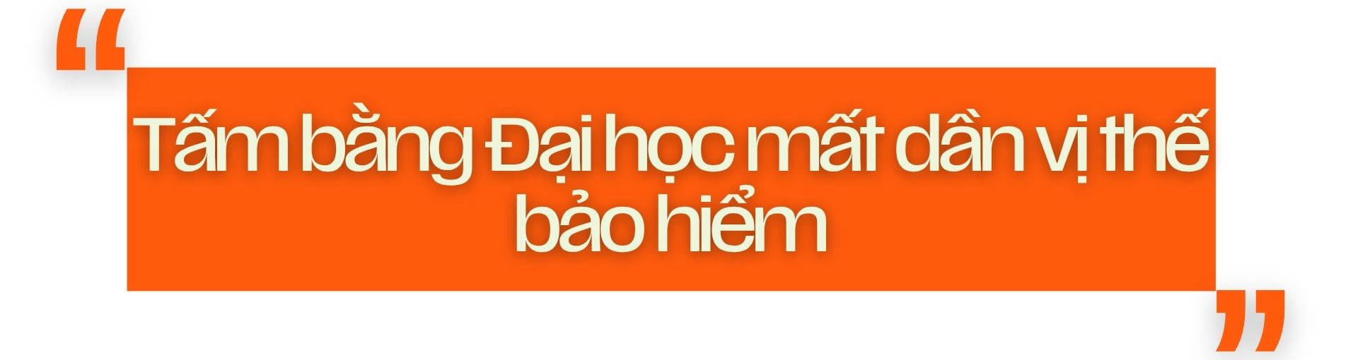 tấm bằng đại học