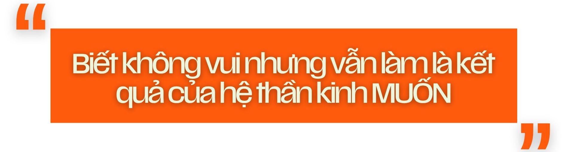 lướt mạng xã hội