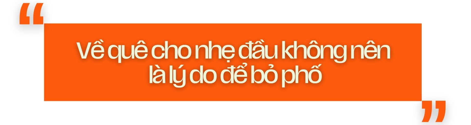 bỏ phố về quê
