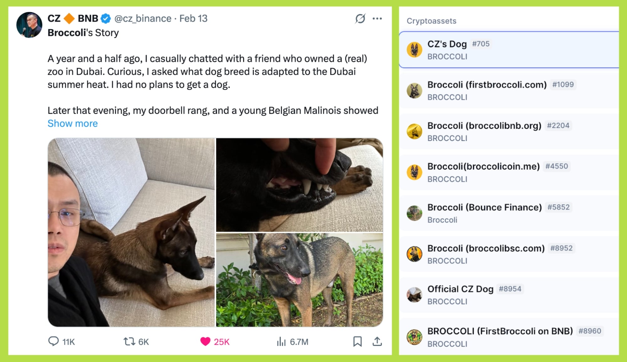 cz dog broccoli memecoin
