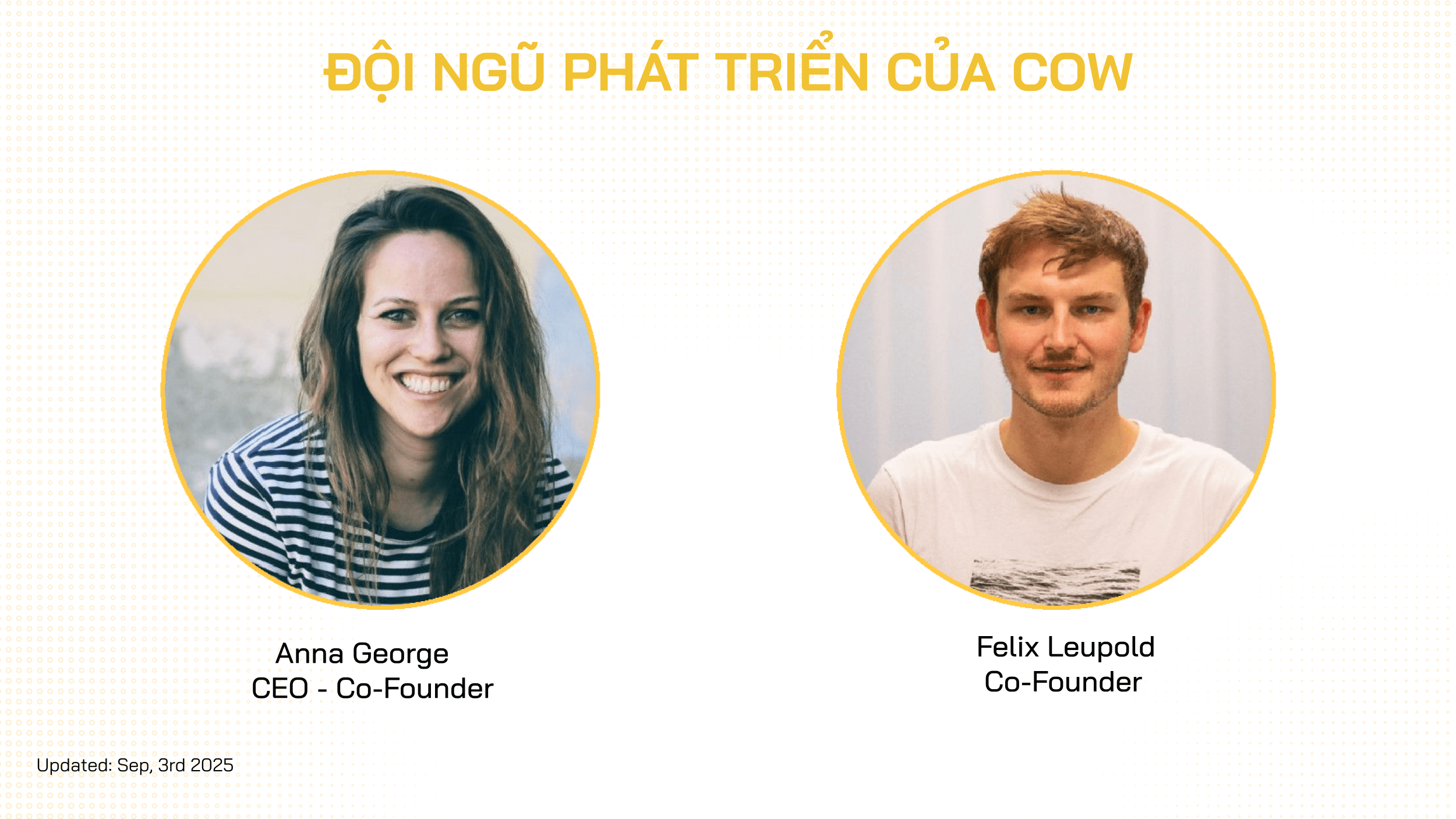đội ngũ cow swap