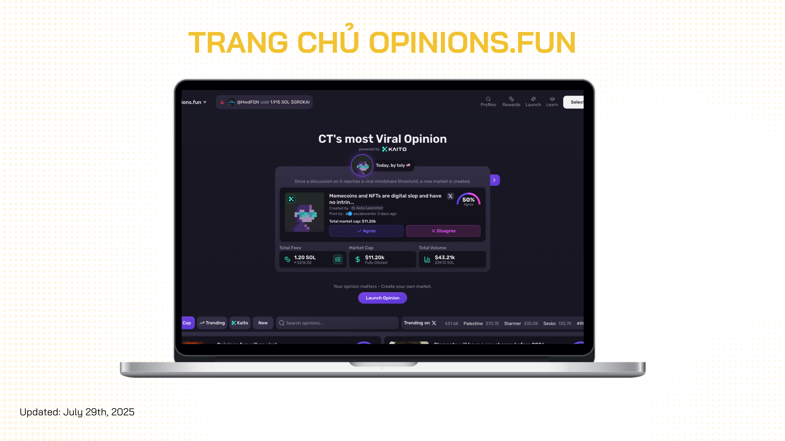 opinions fun là gì