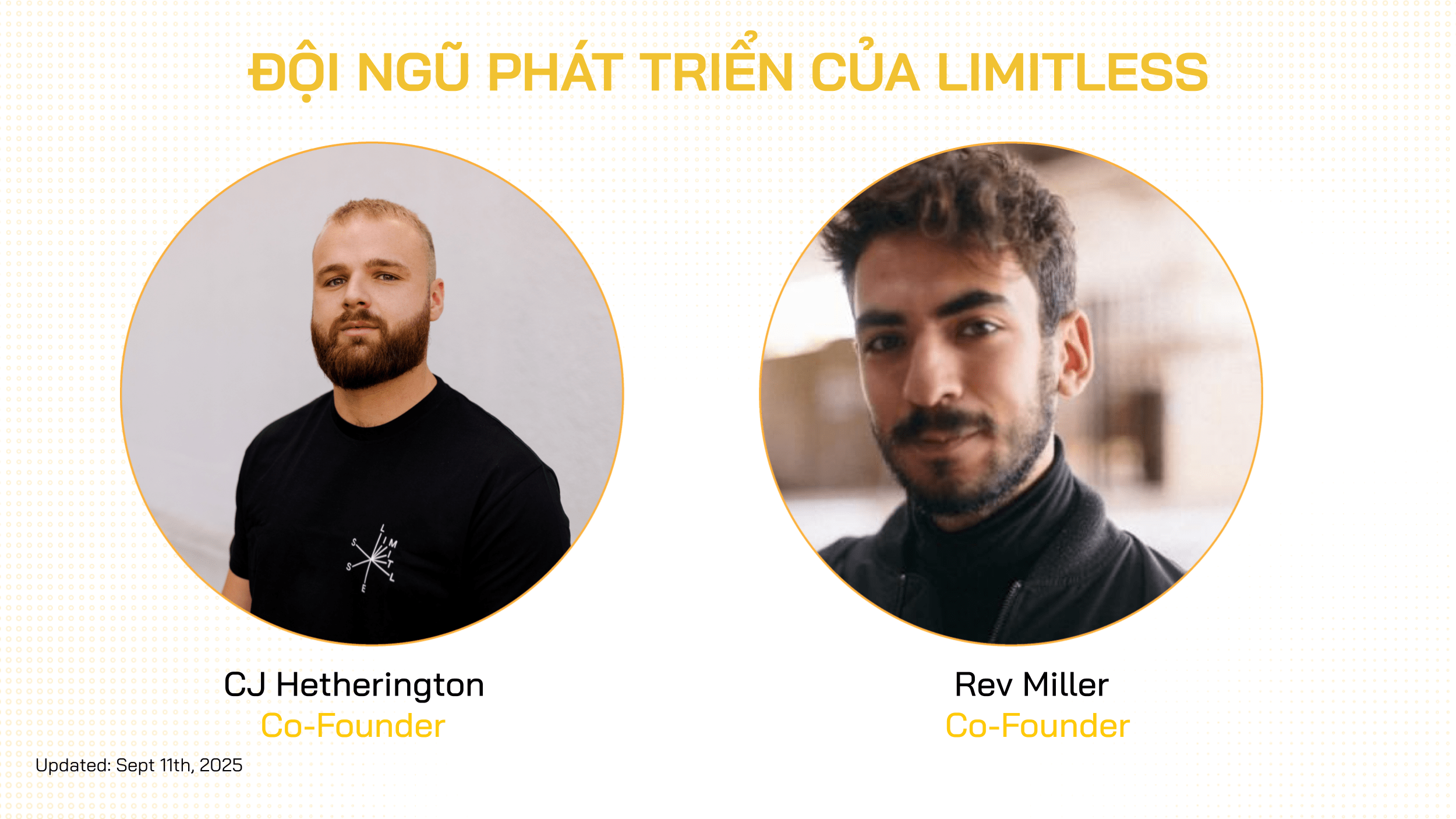 đội ngũ limitless