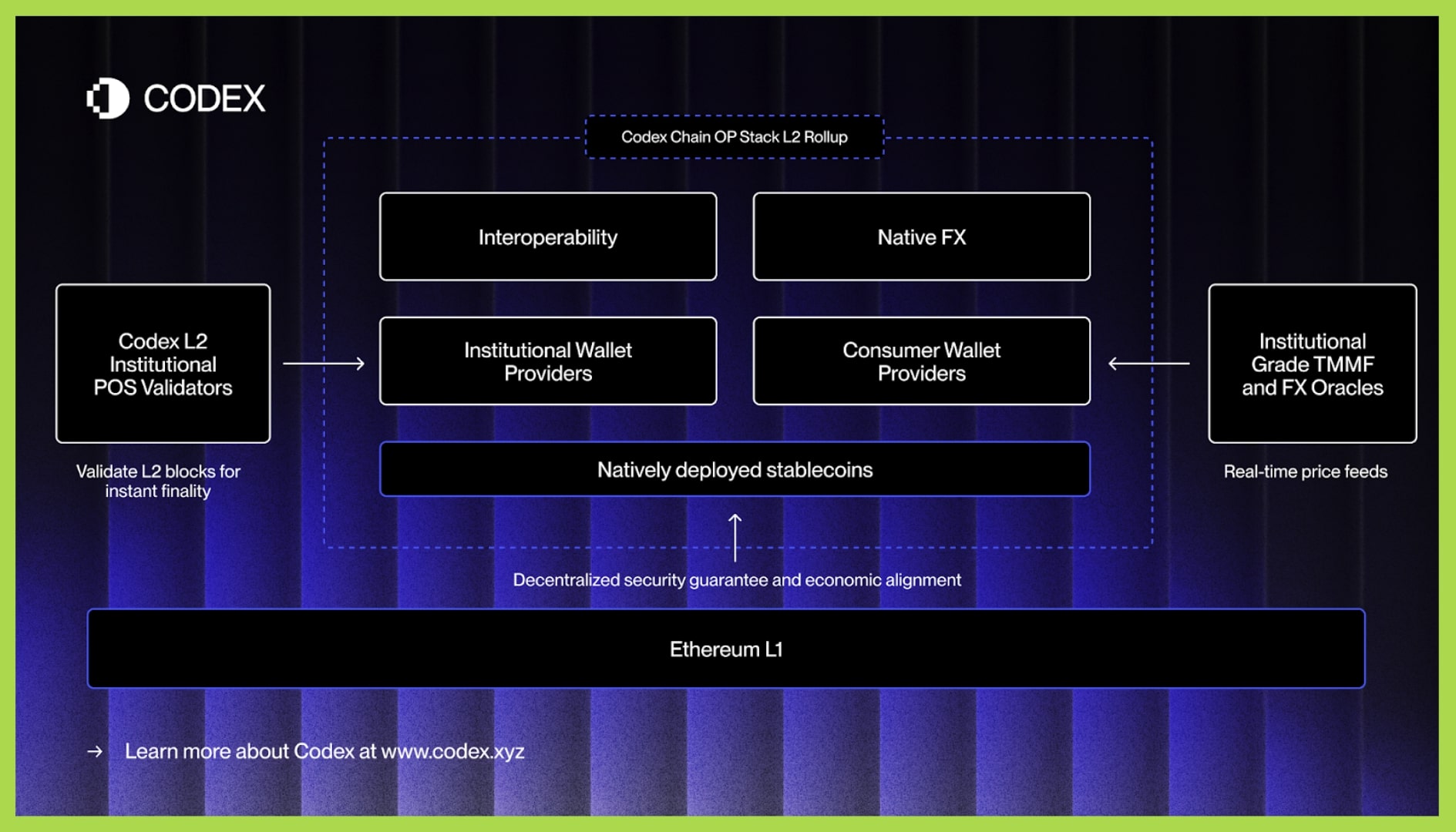 mô hình hoạt động codex