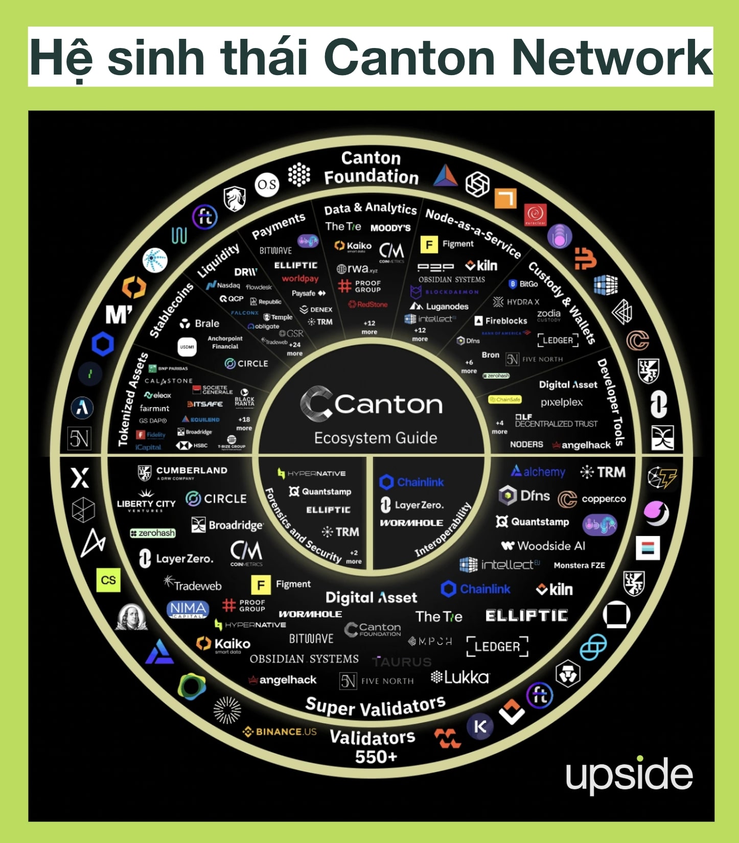 hệ sinh thái canton network