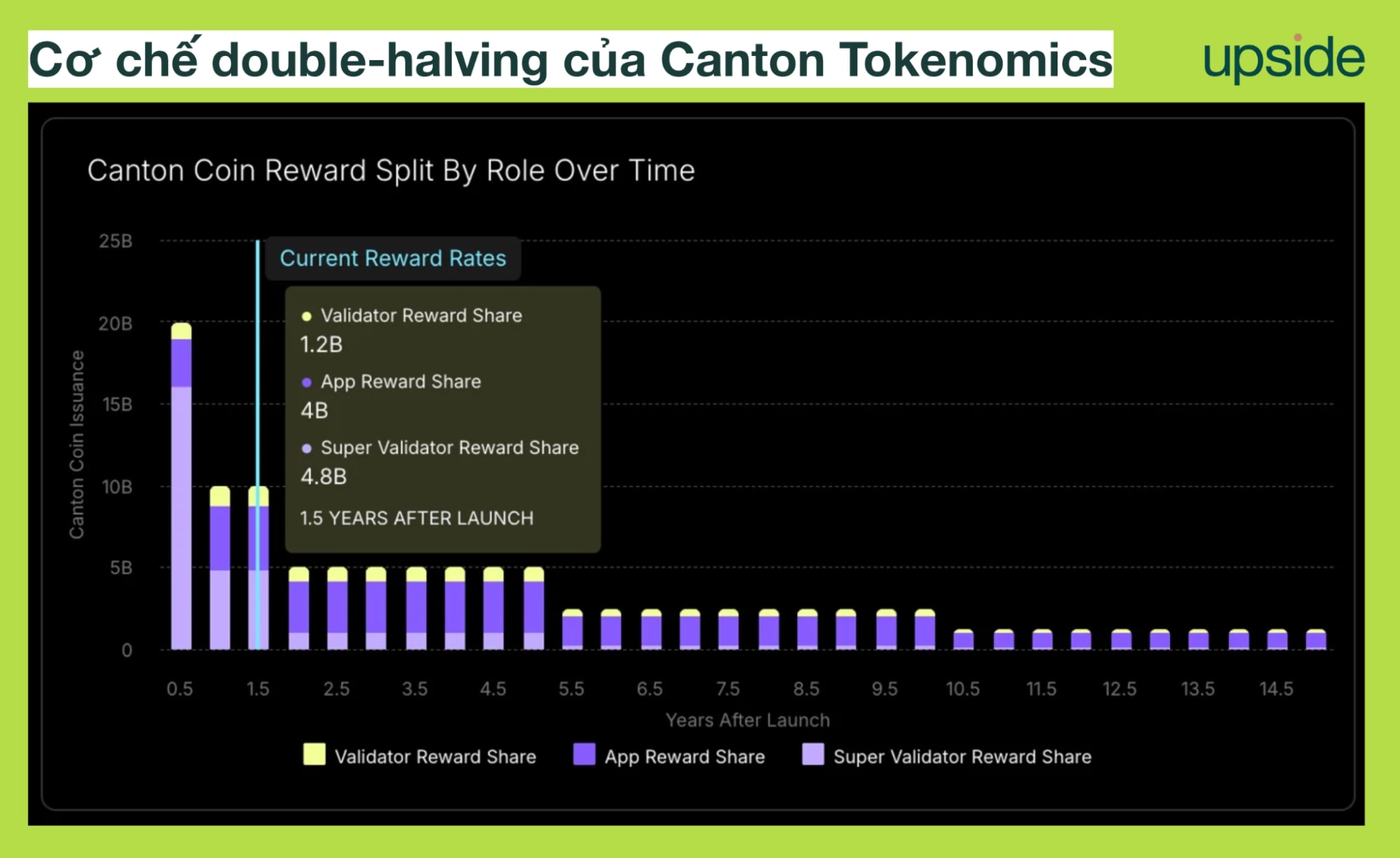 double-halving của Canton Tokenomics