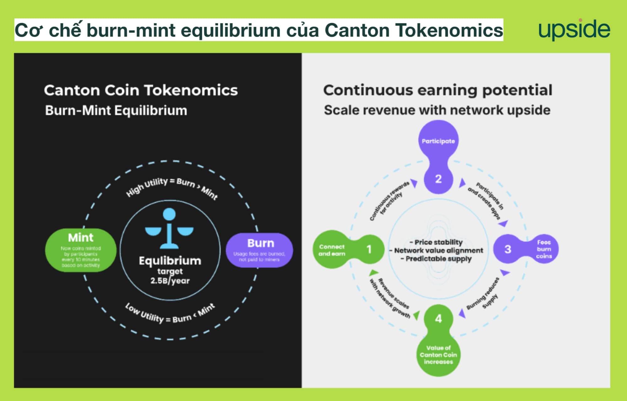 burn-mint equilibrium của Canton Tokenomics