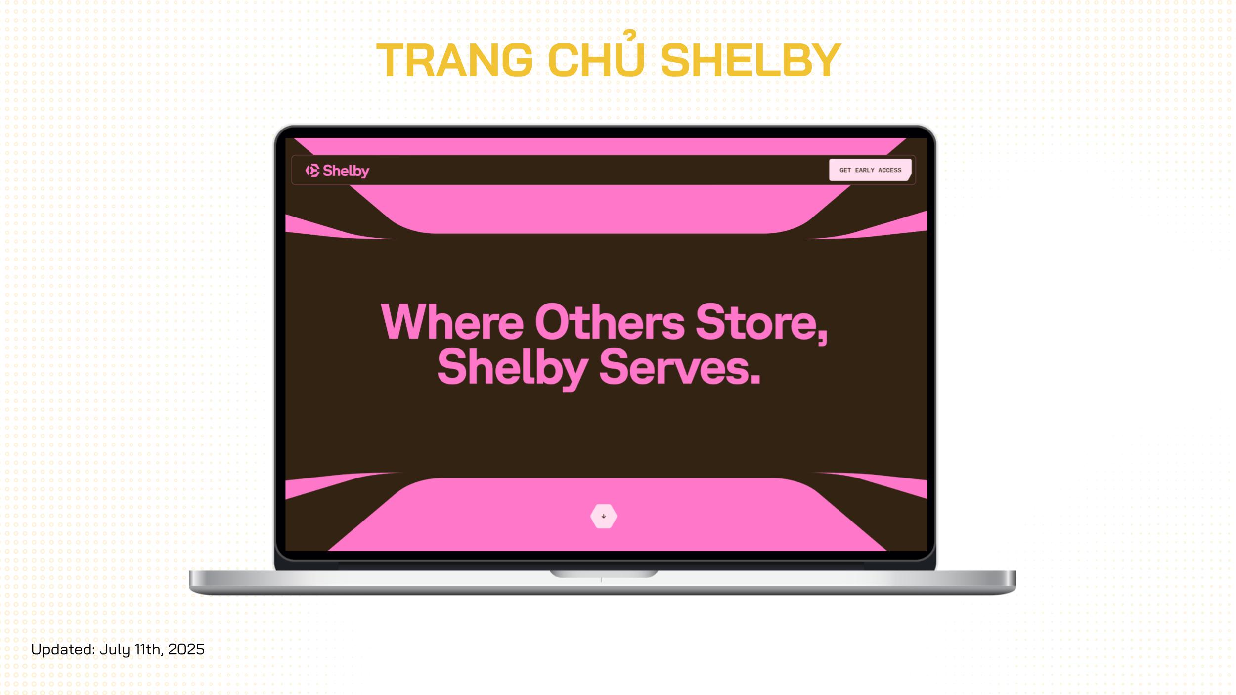 shelby là gì
