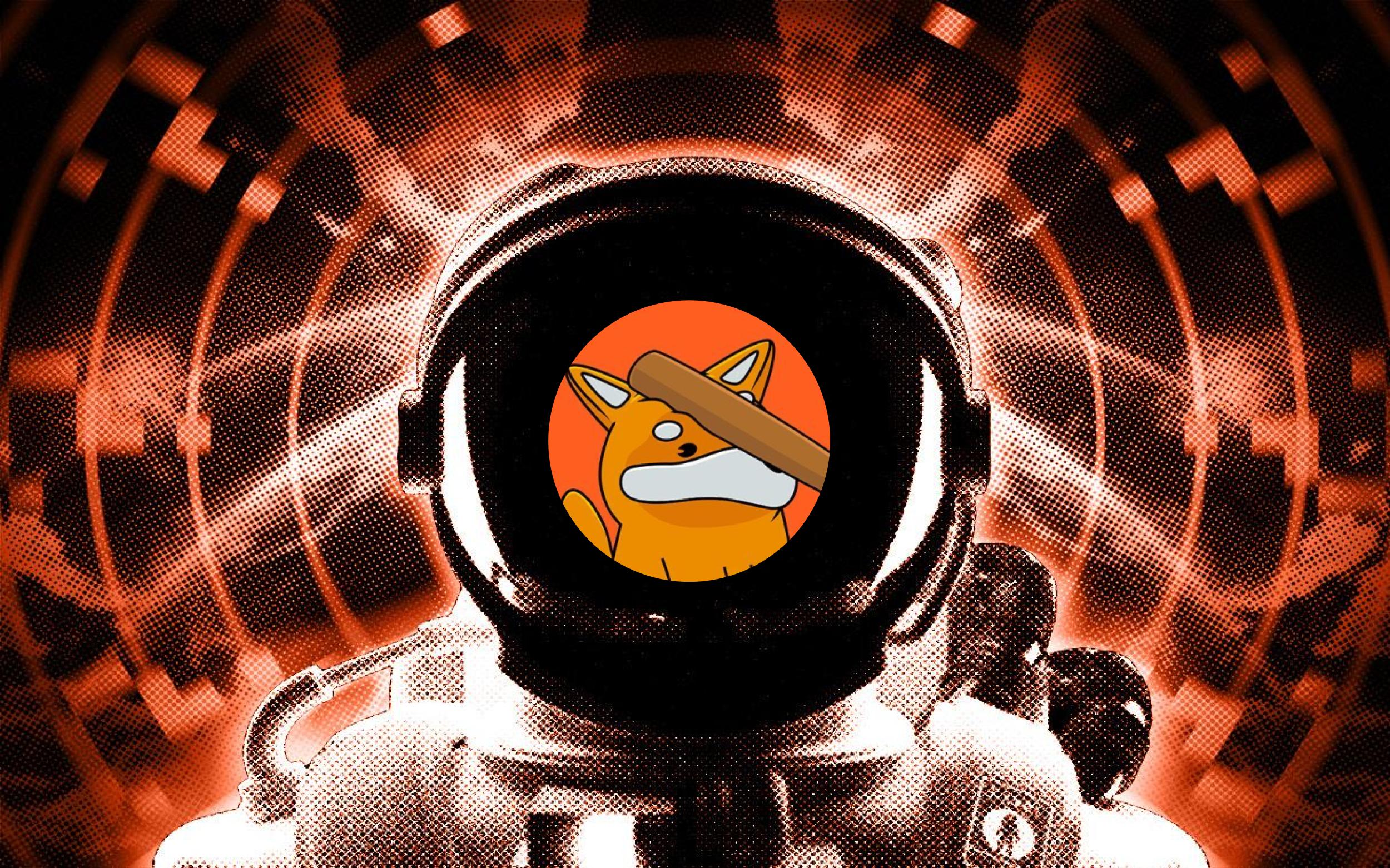 letsbonkfun là gì