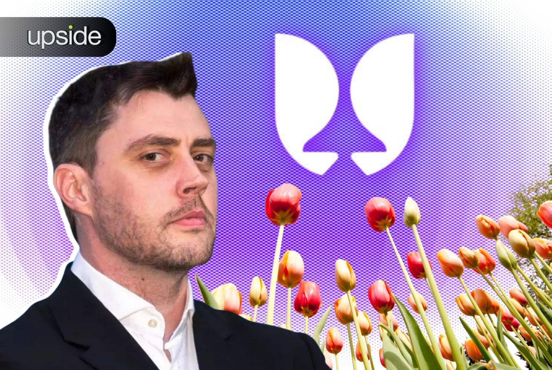 flying tulip sonic