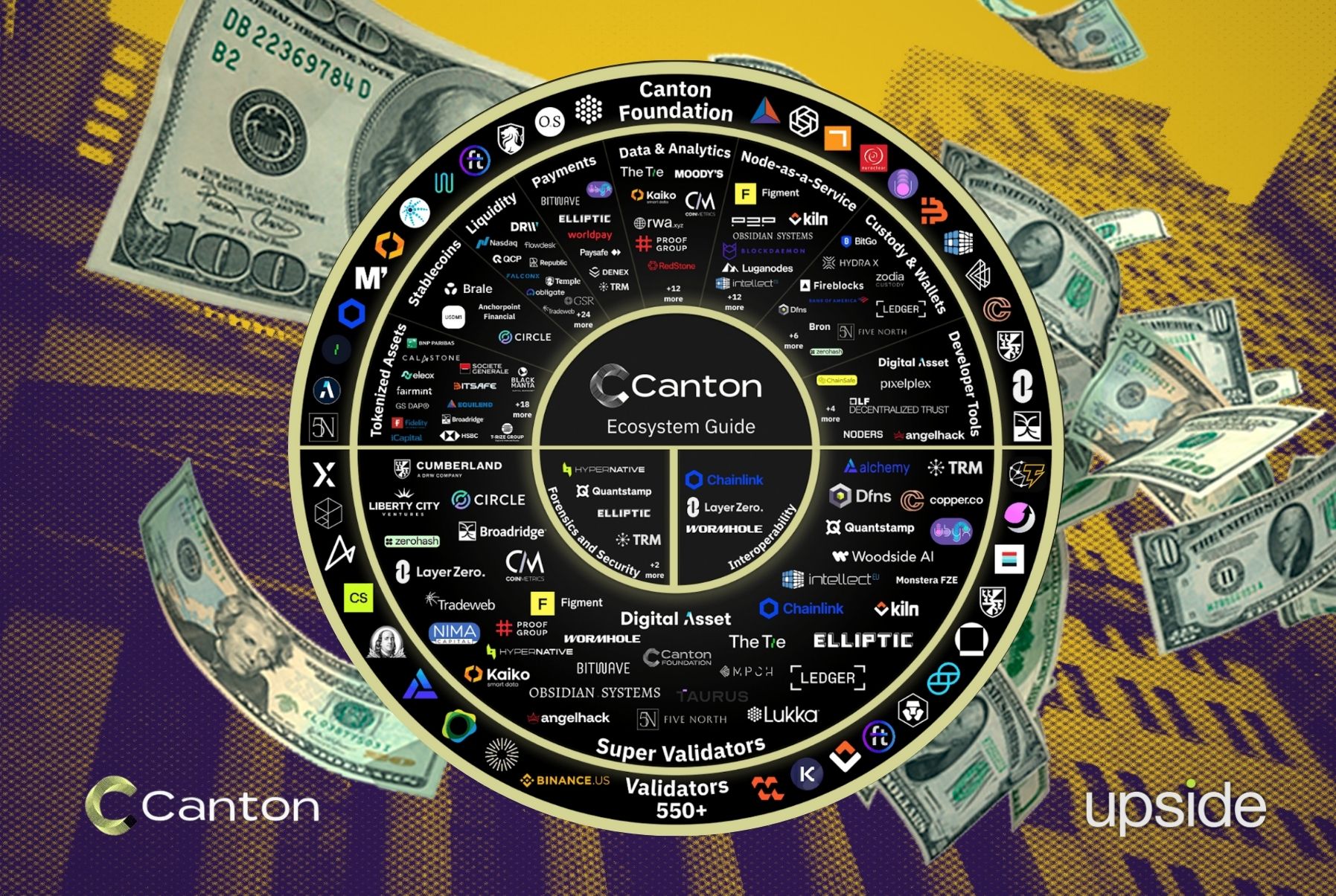 hệ sinh thái canton network