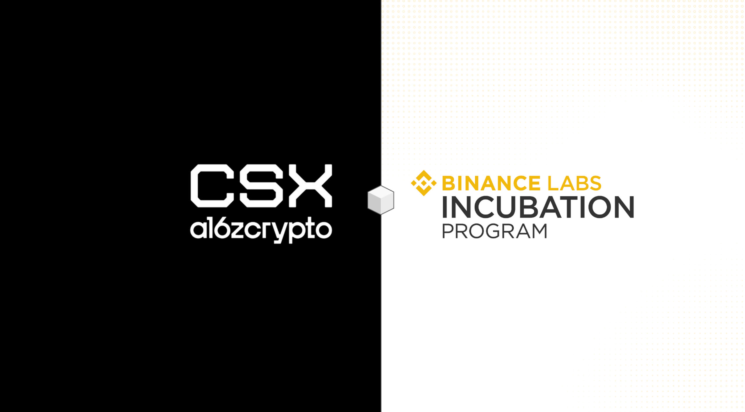 Xu hướng nào đang được ươm mầm từ a16zcrypto và Binance Labs?