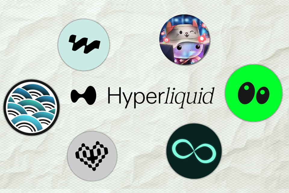 top dự án hyperliquid